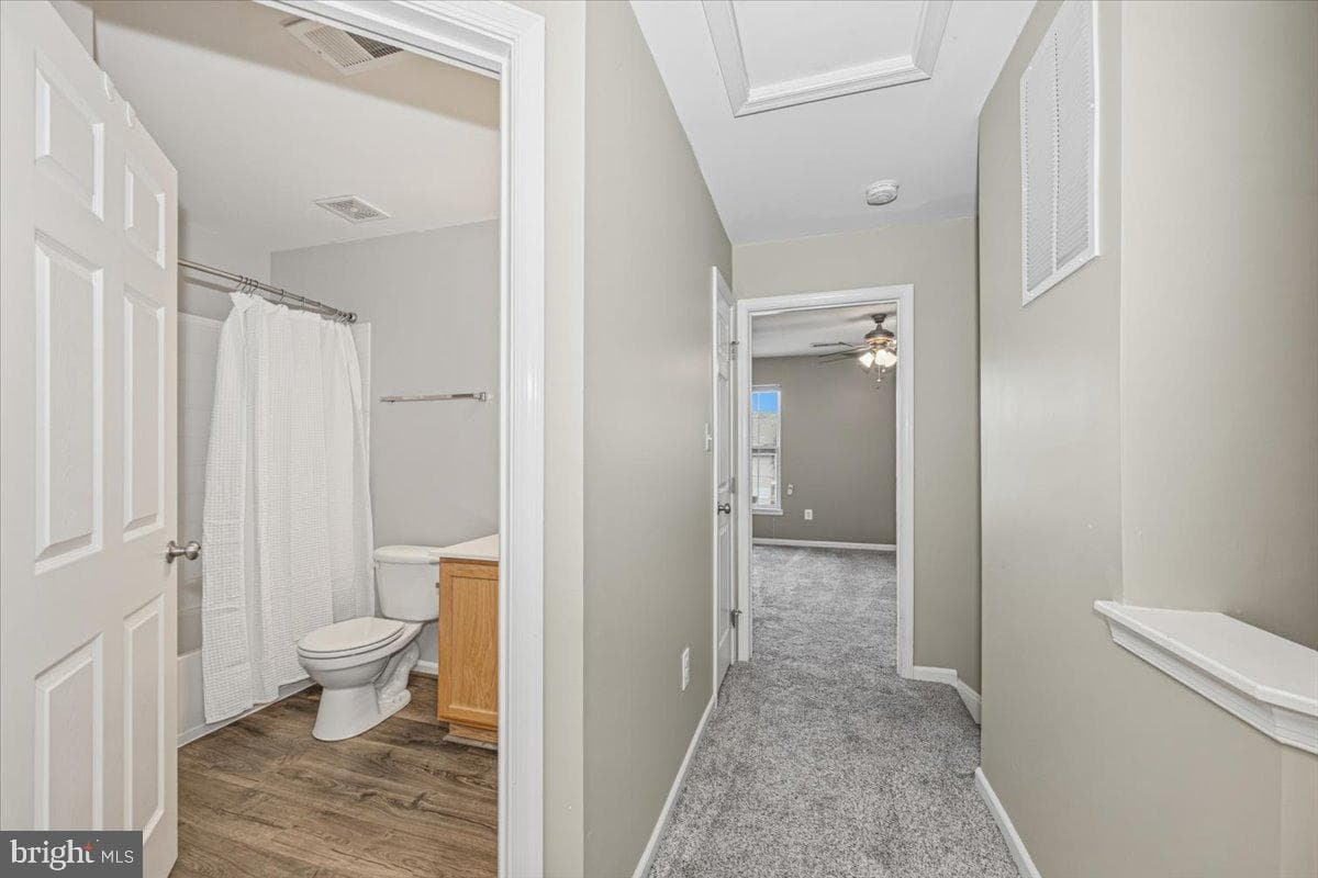 42 Payne Street photo 32