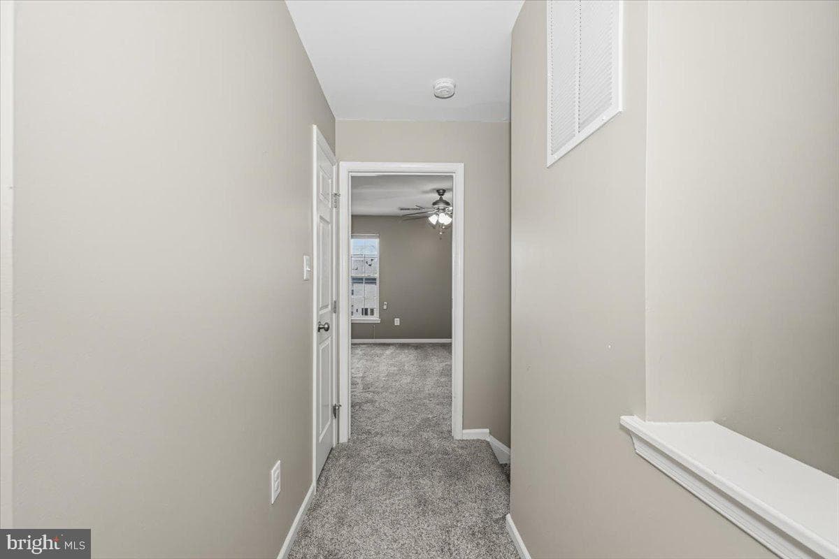 42 Payne Street photo 36