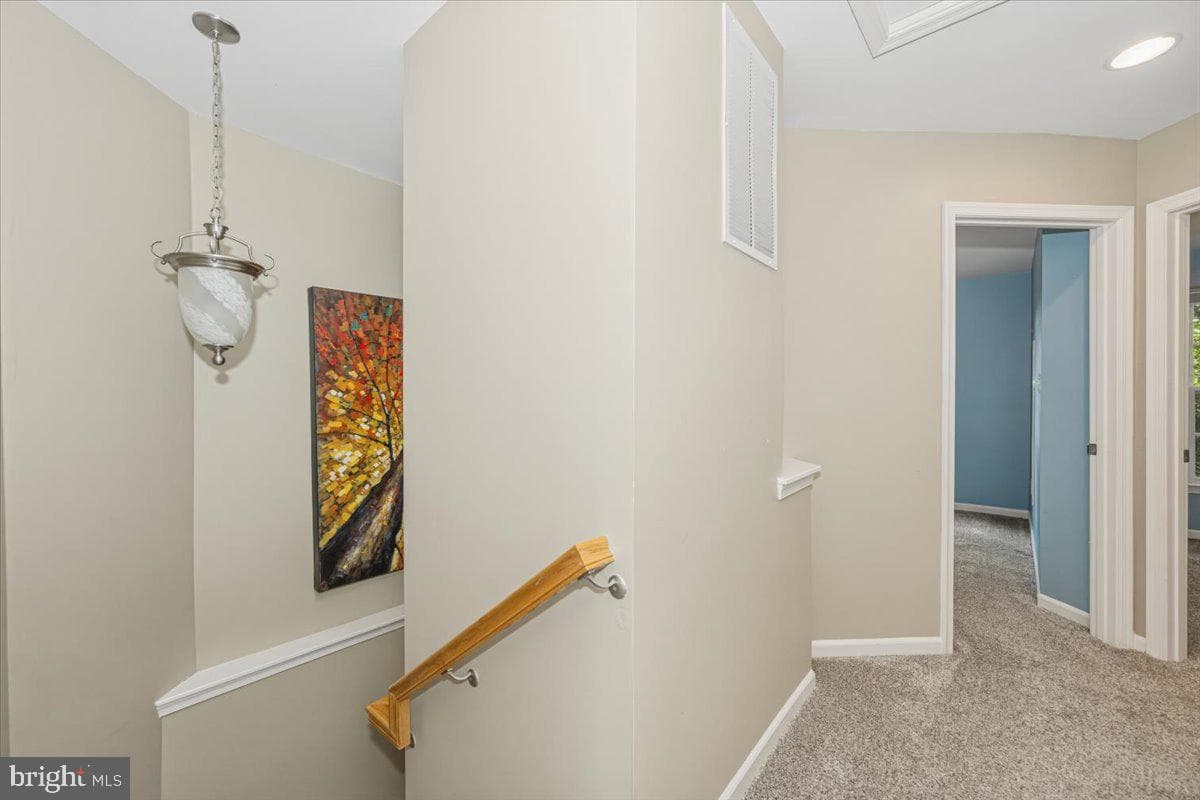 42 Payne Street photo 37