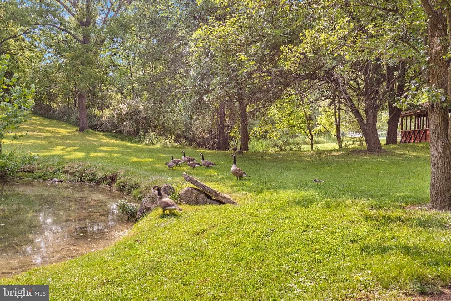 632 Eastland Drive photo 50