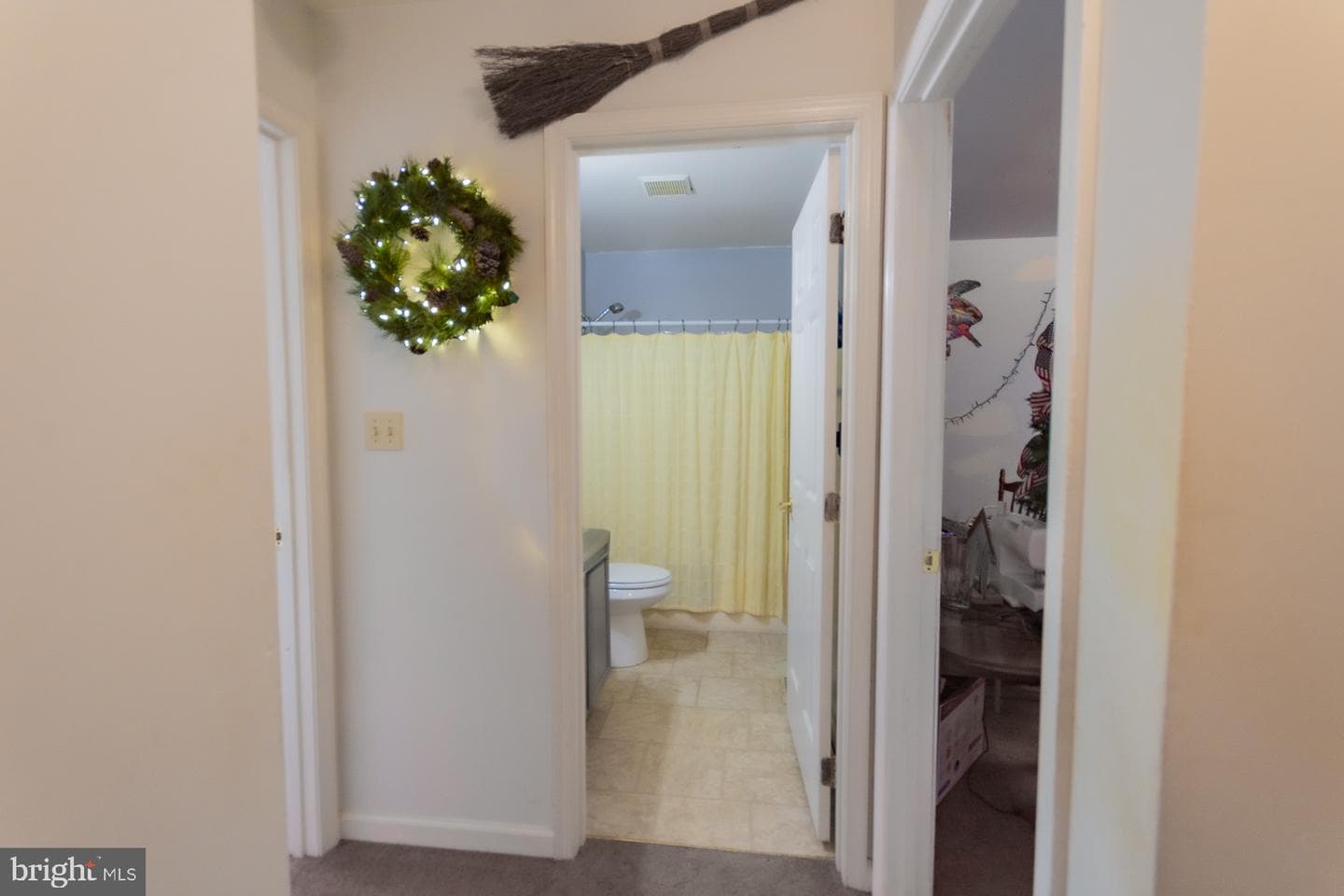 207 Willow Brook Drive photo 13