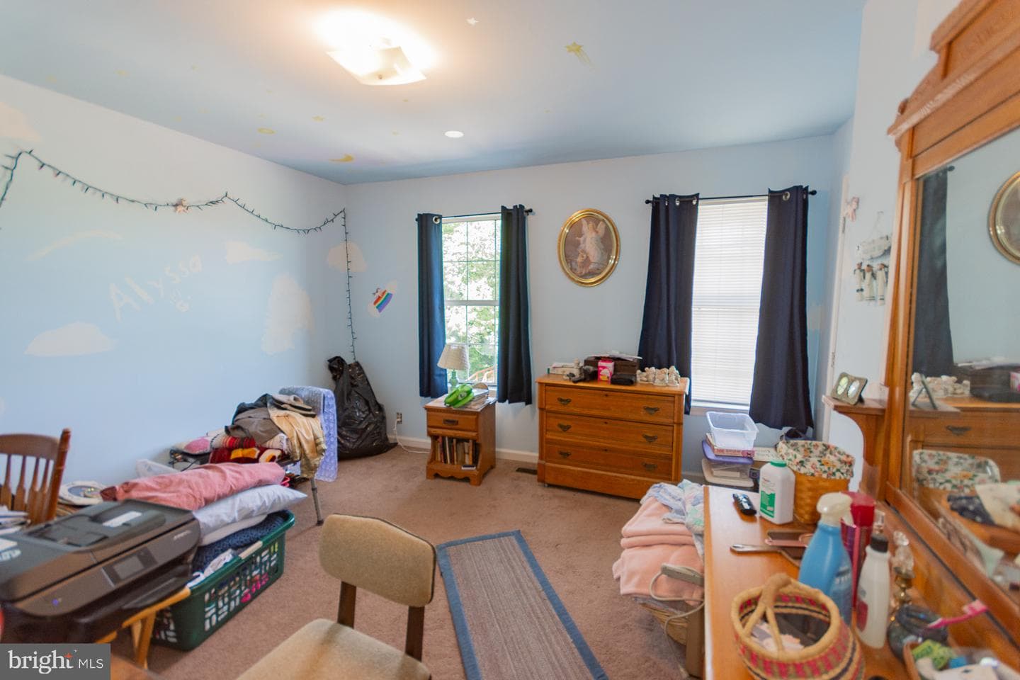 207 Willow Brook Drive photo 19