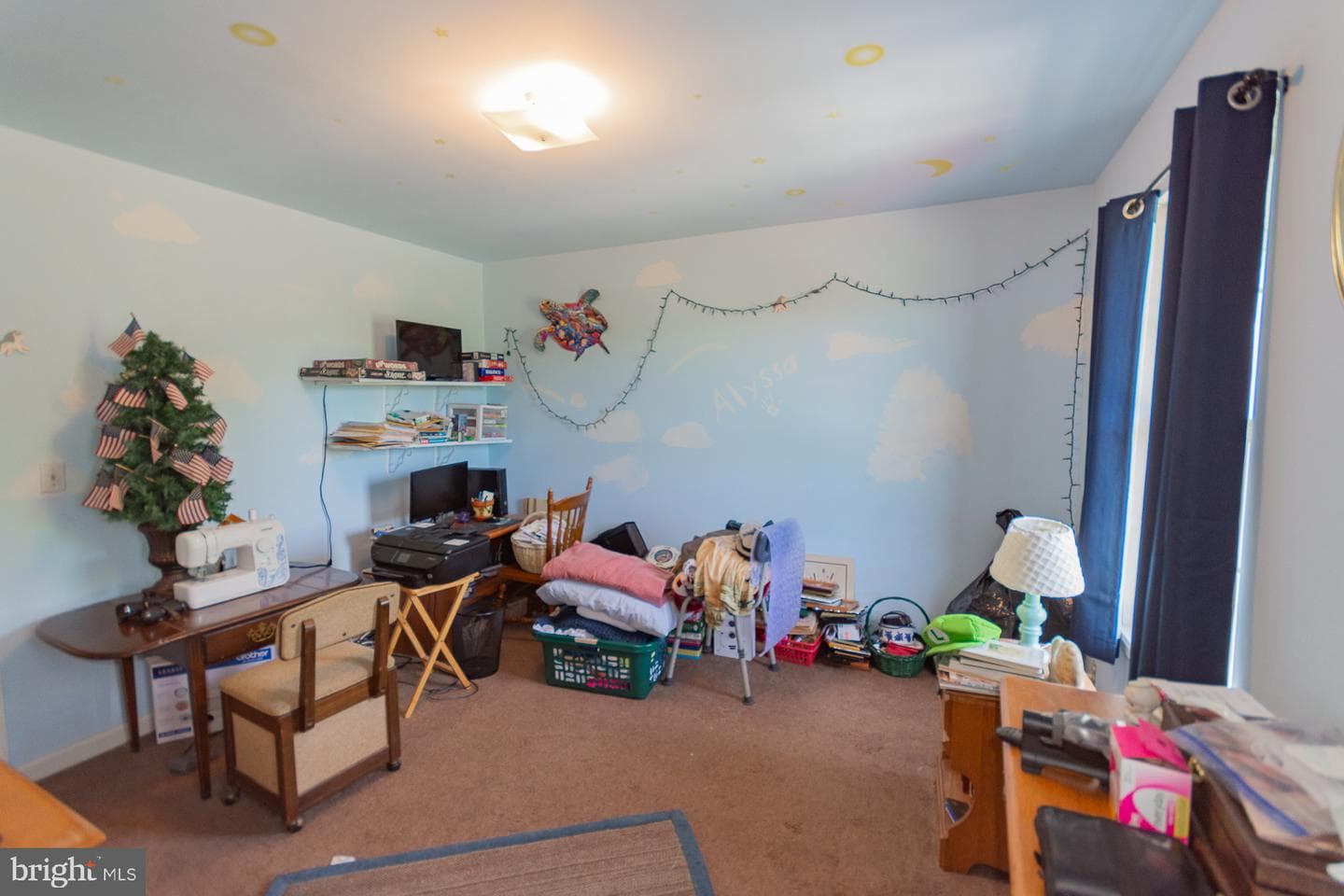207 Willow Brook Drive photo 21