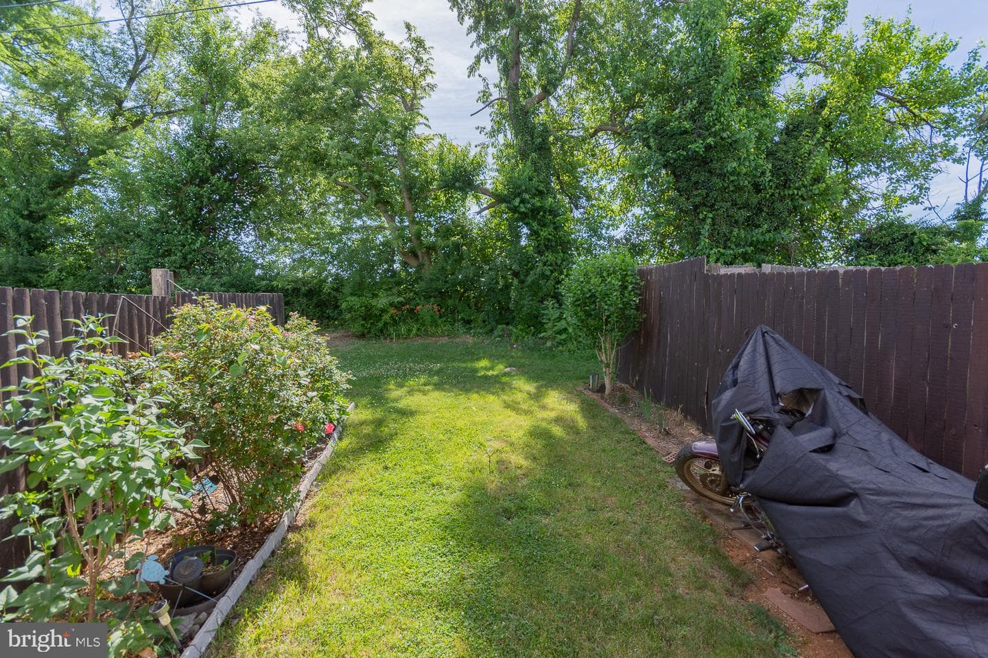 207 Willow Brook Drive photo 28