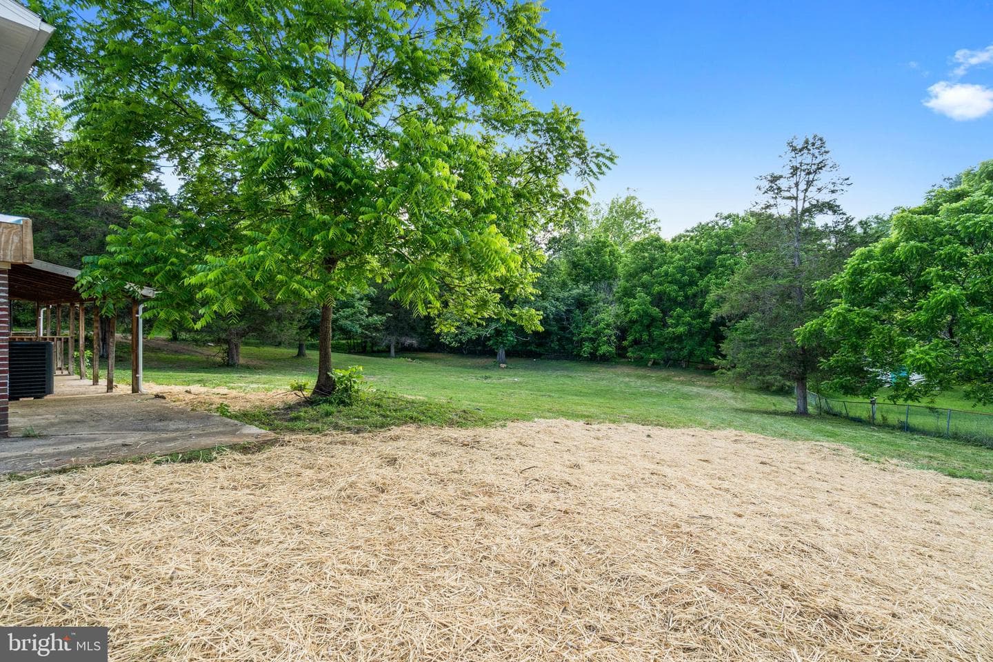 459 Forest View Drive photo 27