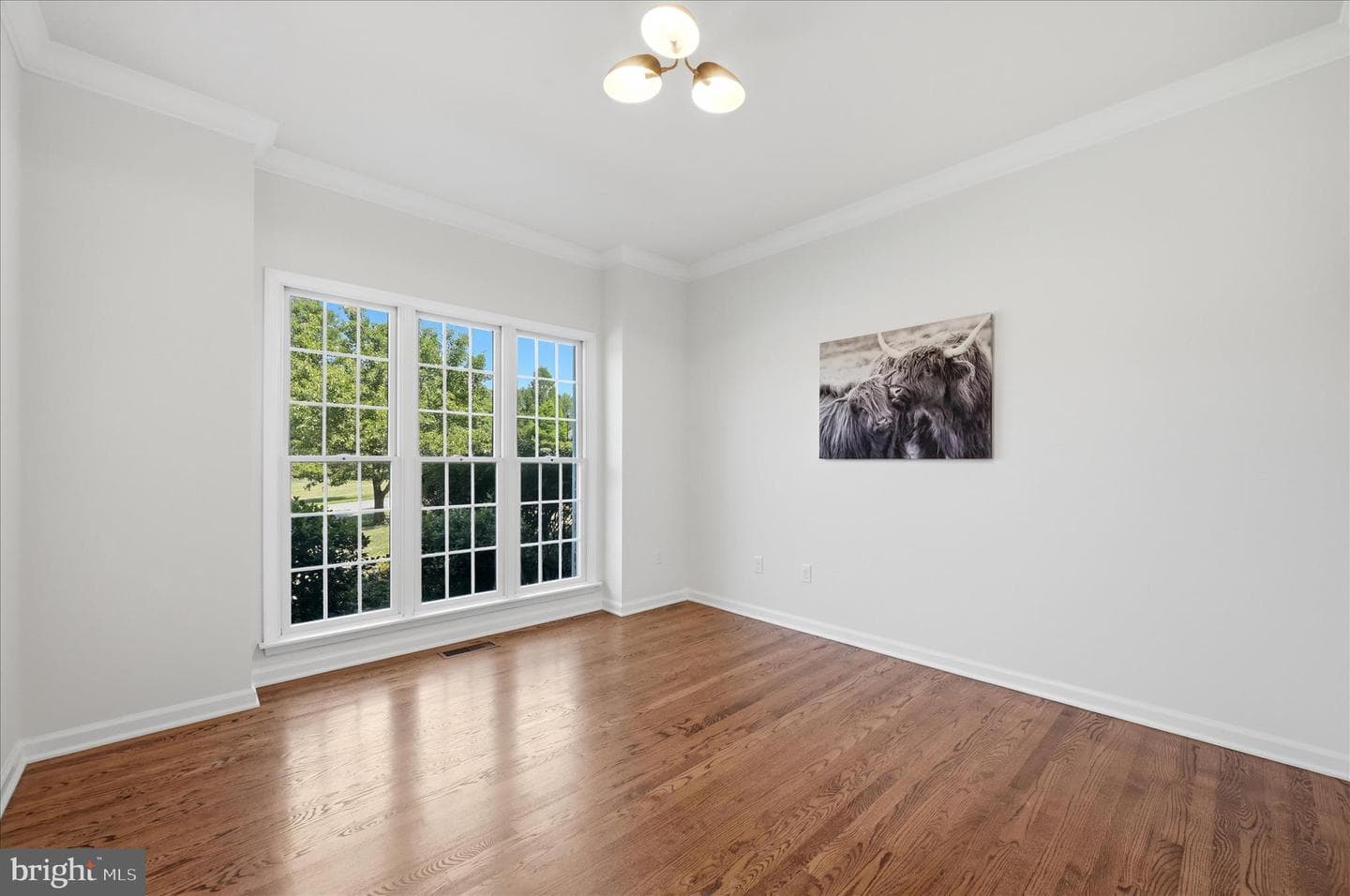 86 Eastland Drive photo 23