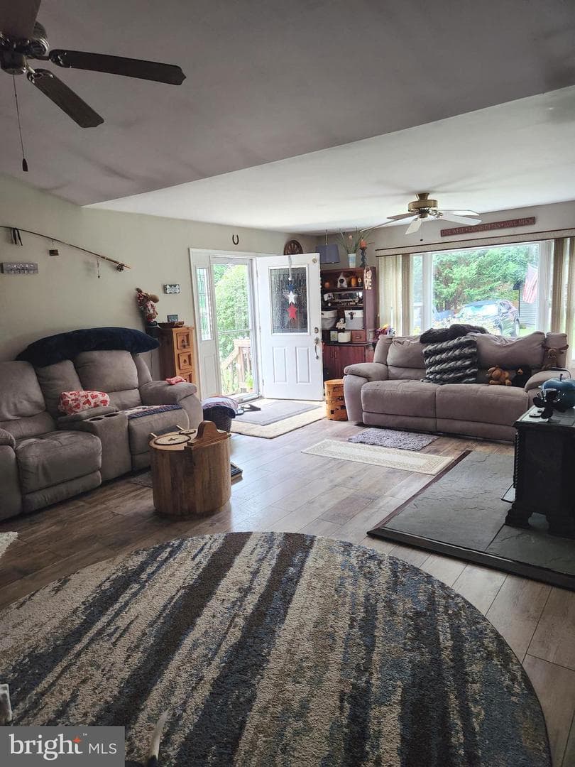 58 Branchy Road photo 15