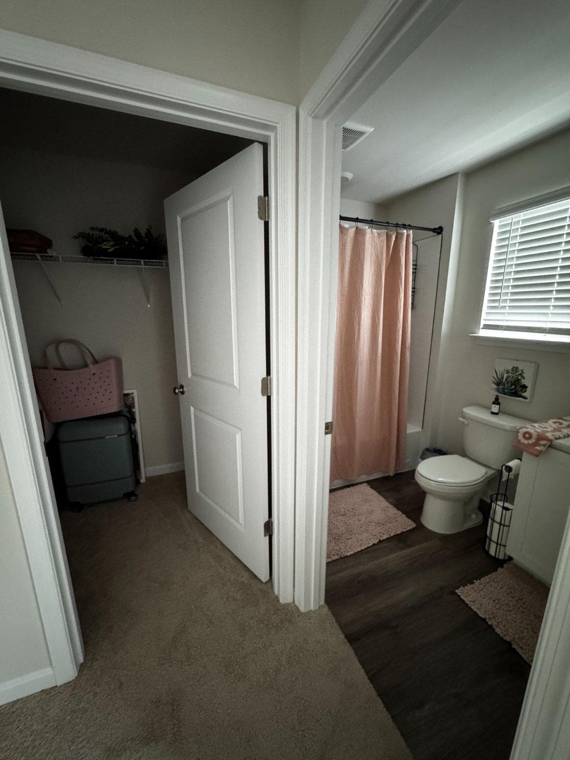 372 Atkinson Street photo 18