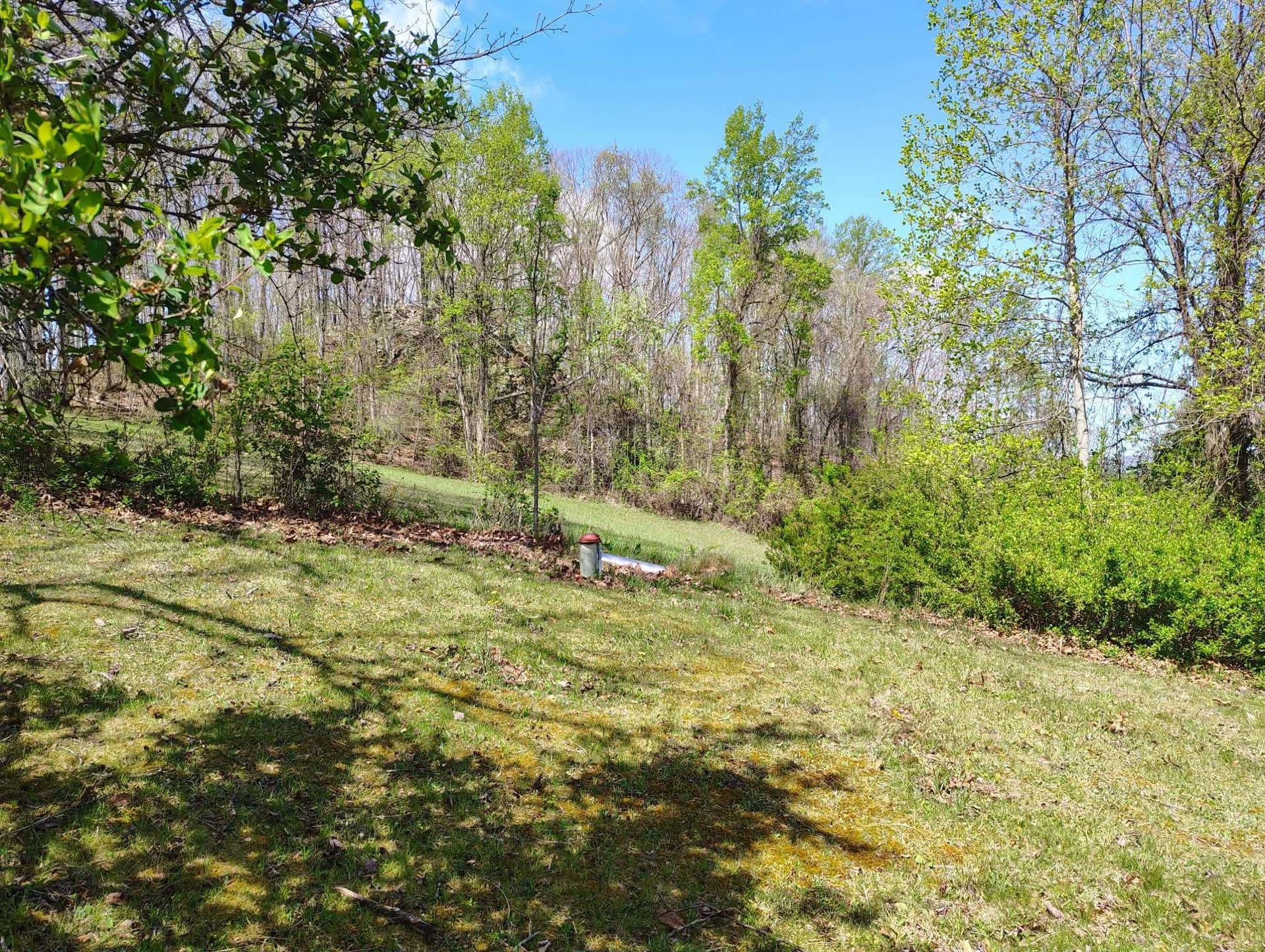 303 Willeva Road photo 33