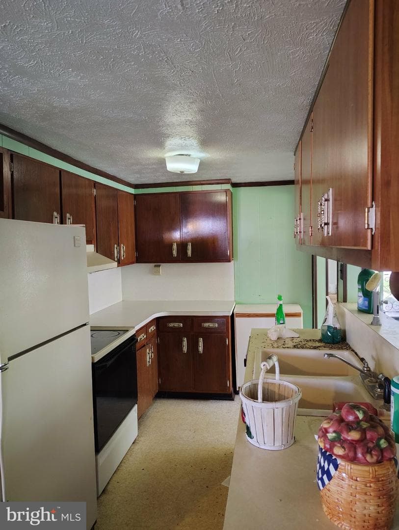 303 Willeva Road photo 9