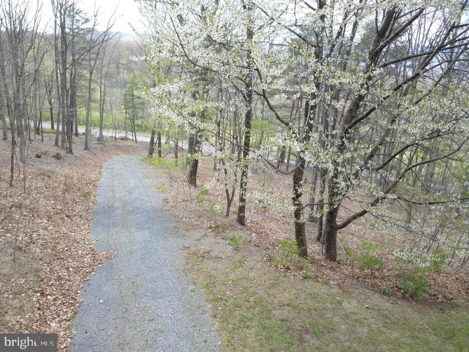 127 Cameron Orchard Rd photo 19