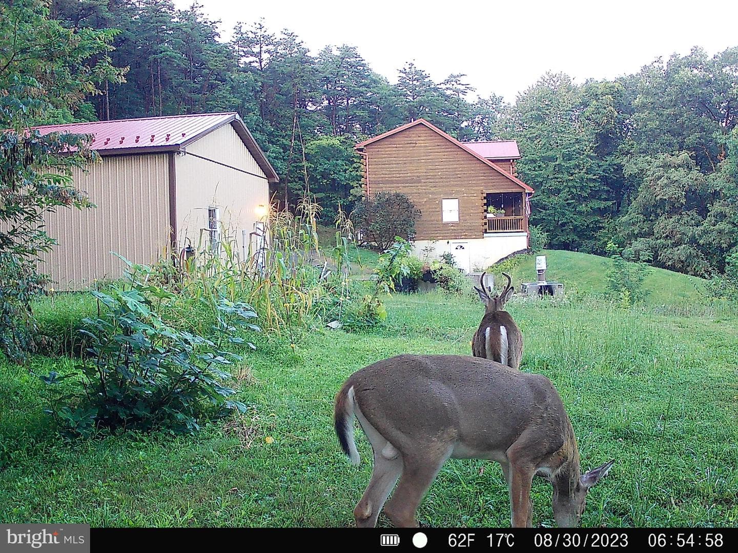 127 Cameron Orchard Rd photo 23
