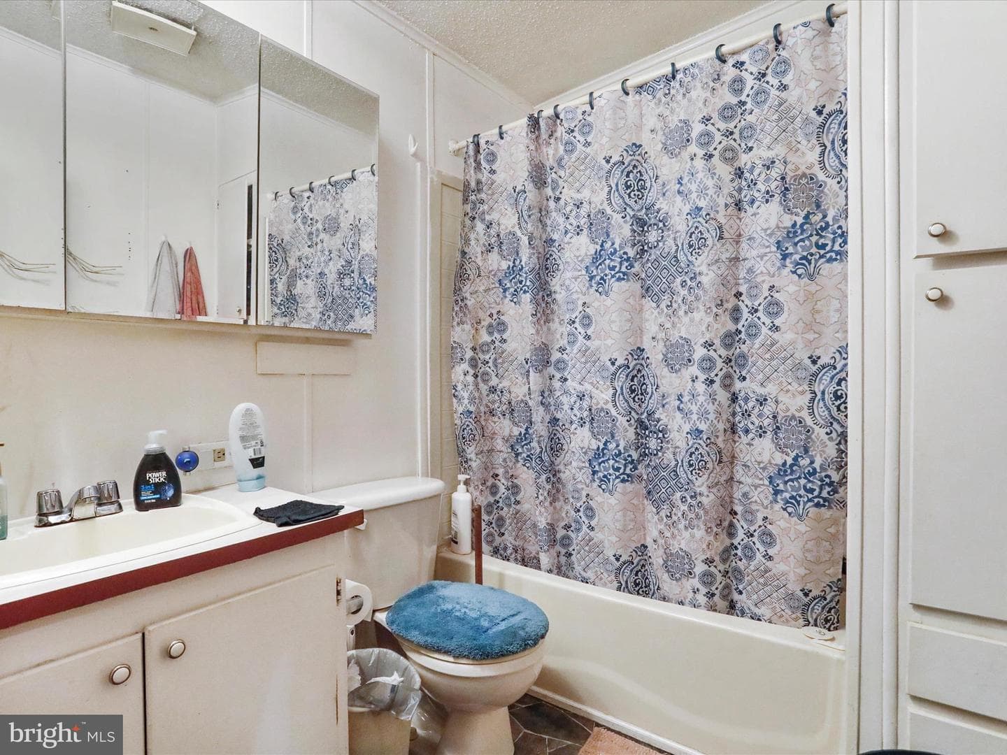 141 Birch Lane photo 22