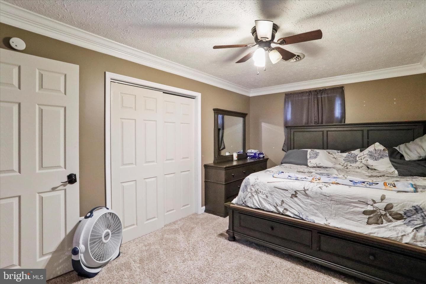 15 Nightingale Street photo 26