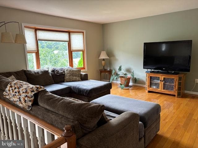 298 Leon Drive photo 4