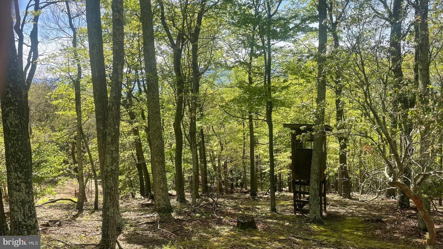 133.944 Acres Russelldale Road photo 15