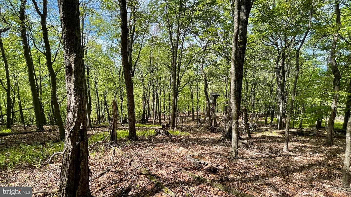 133.944 Acres Russelldale Road photo 28
