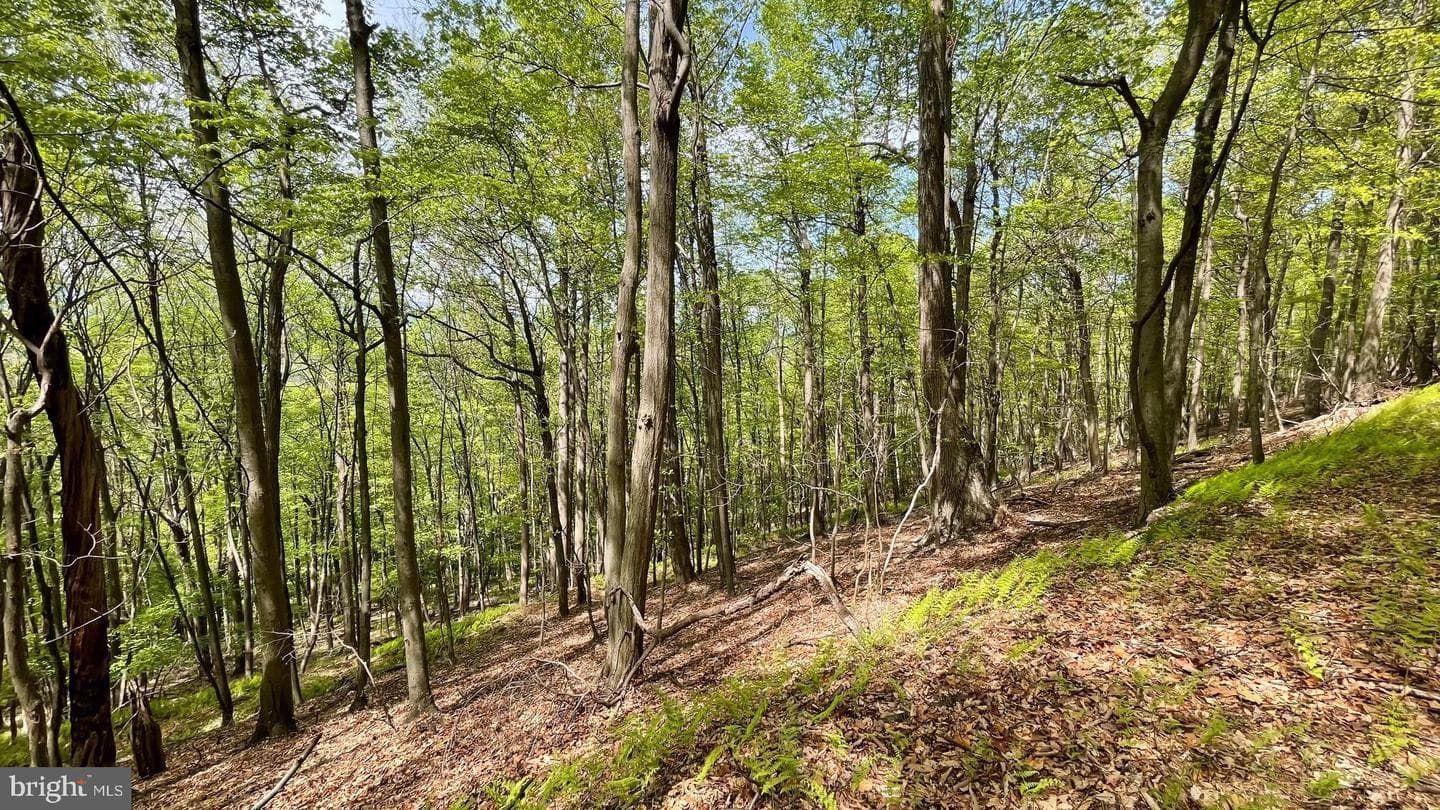 133.944 Acres Russelldale Road photo 29