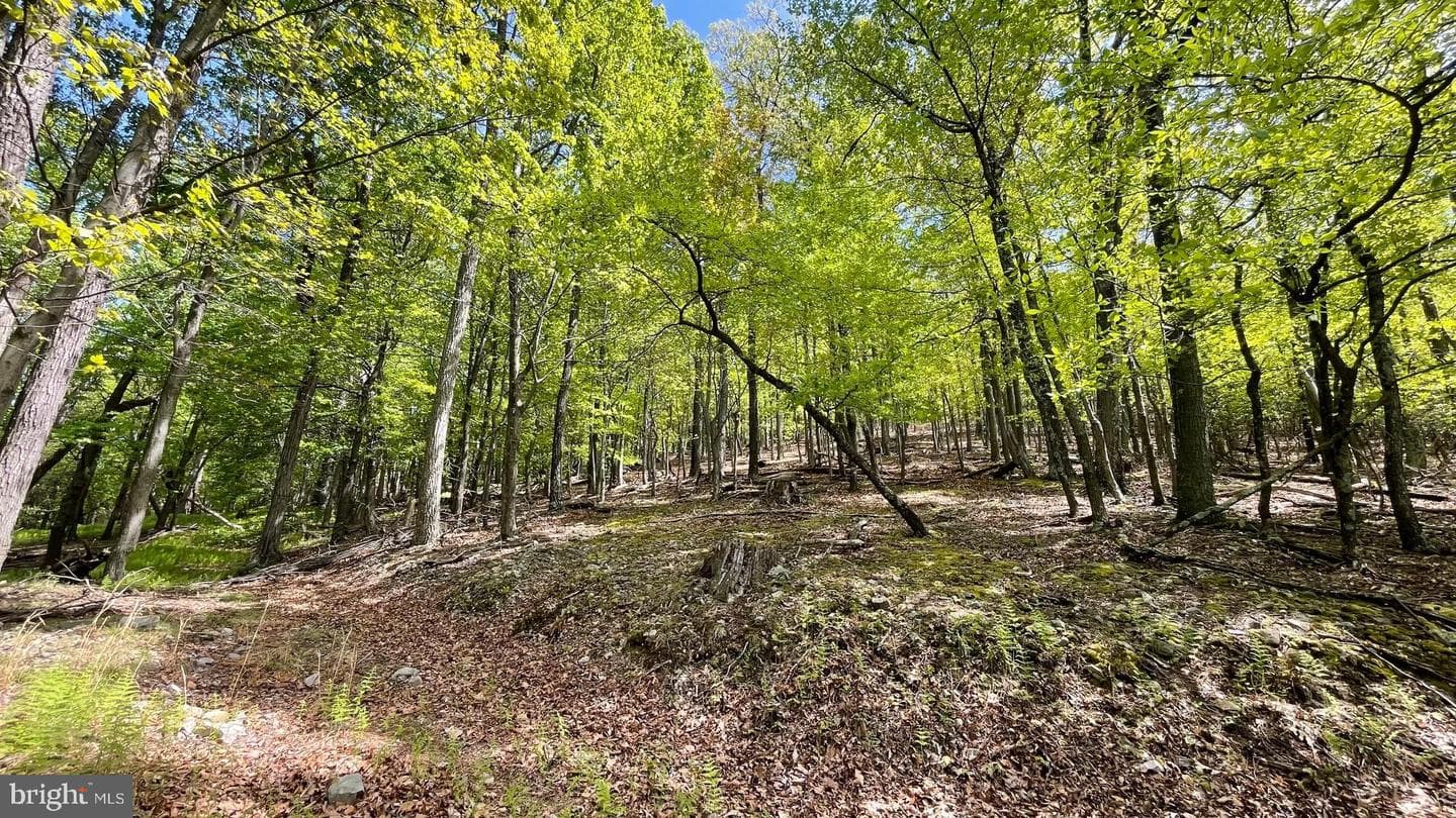133.944 Acres Russelldale Road photo 31