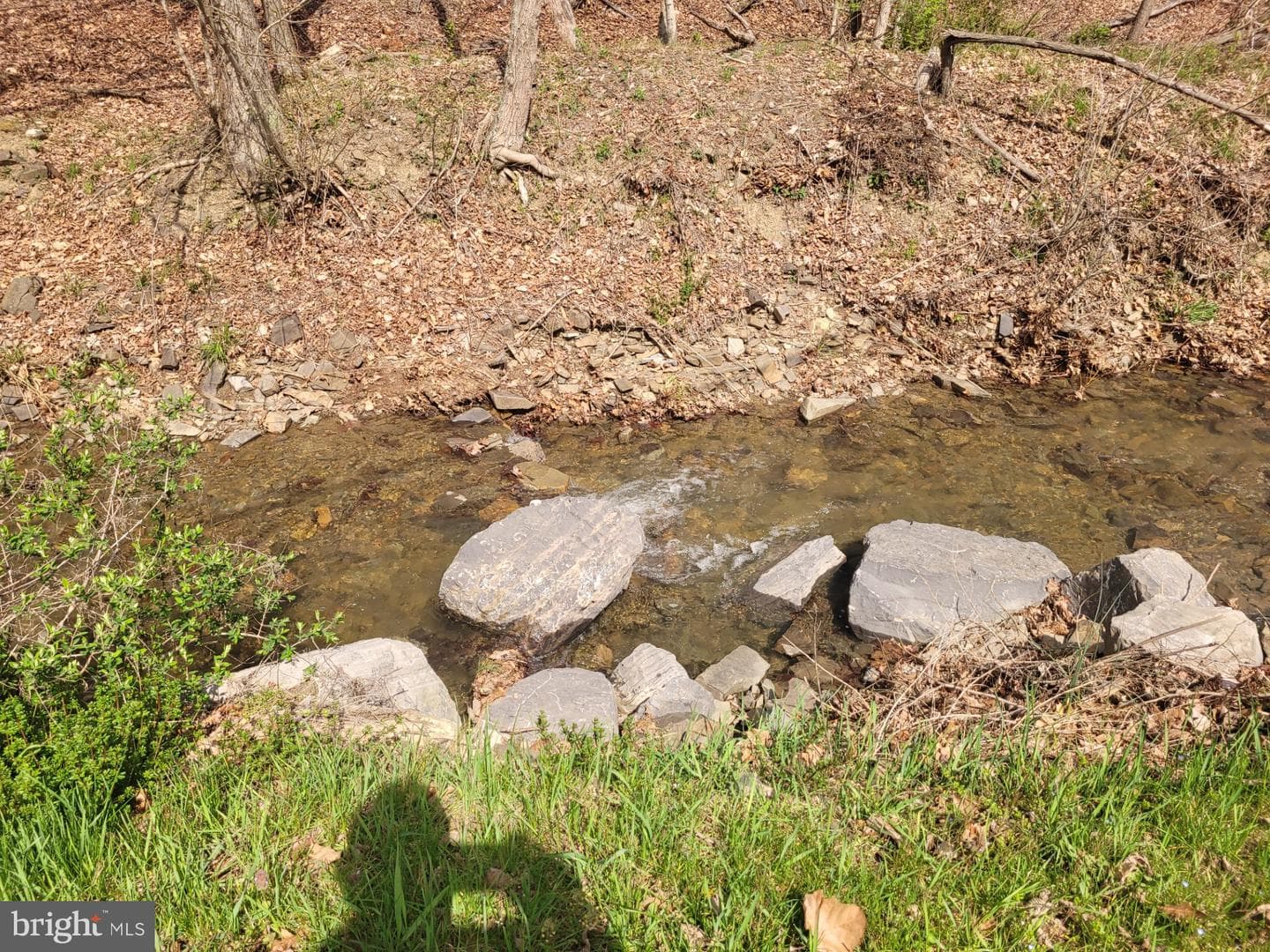 1224 Dry Run Road photo 38