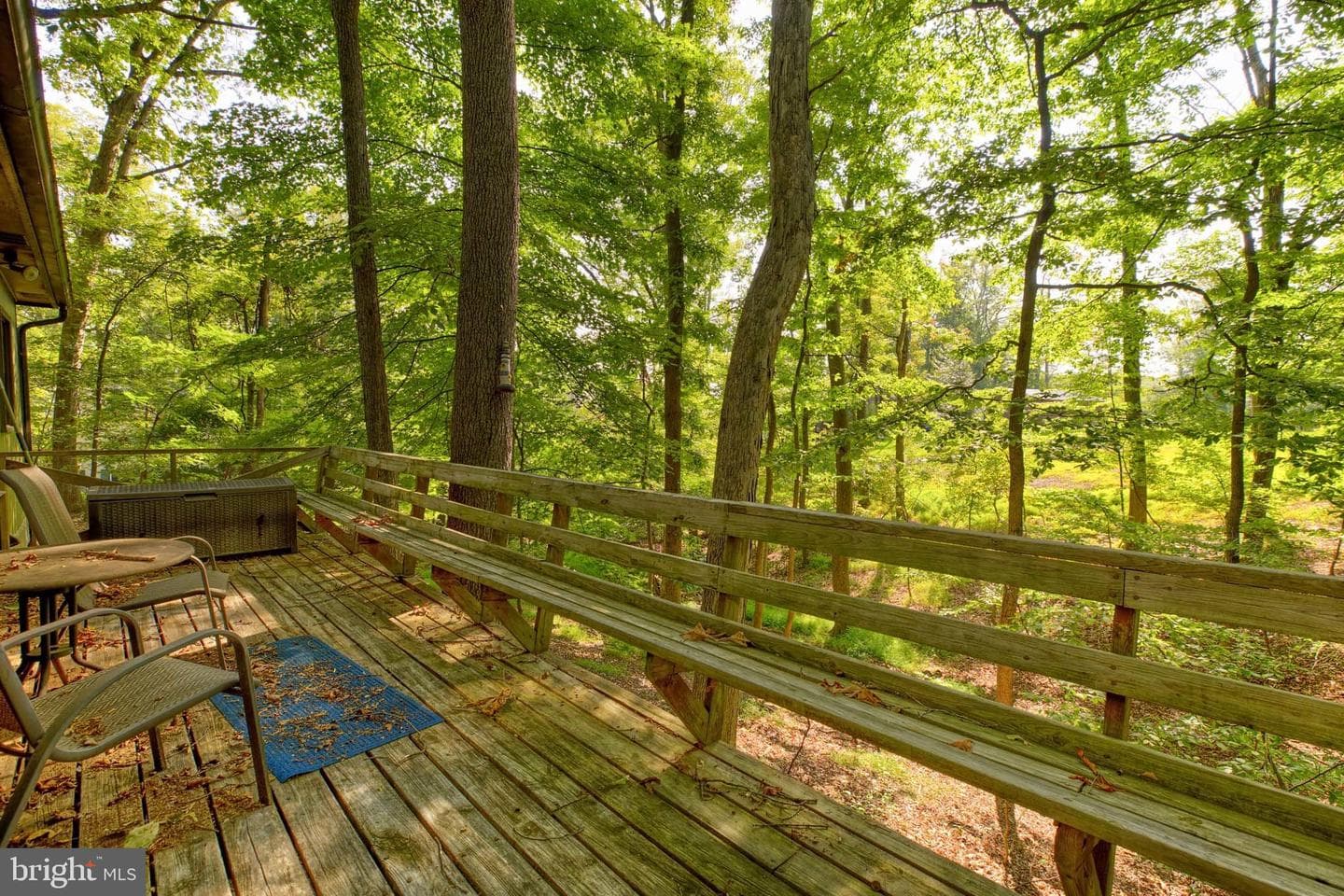 142 Redbud Lane photo 7