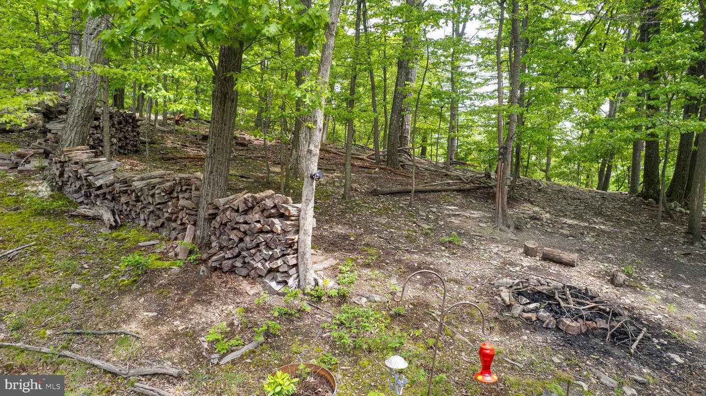 286 Trapper Ridge Lane photo 24