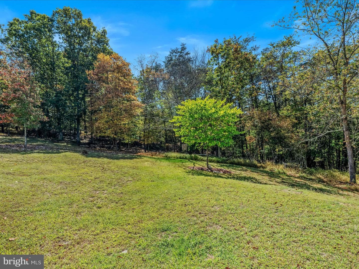 608 Dehaven Road photo 27