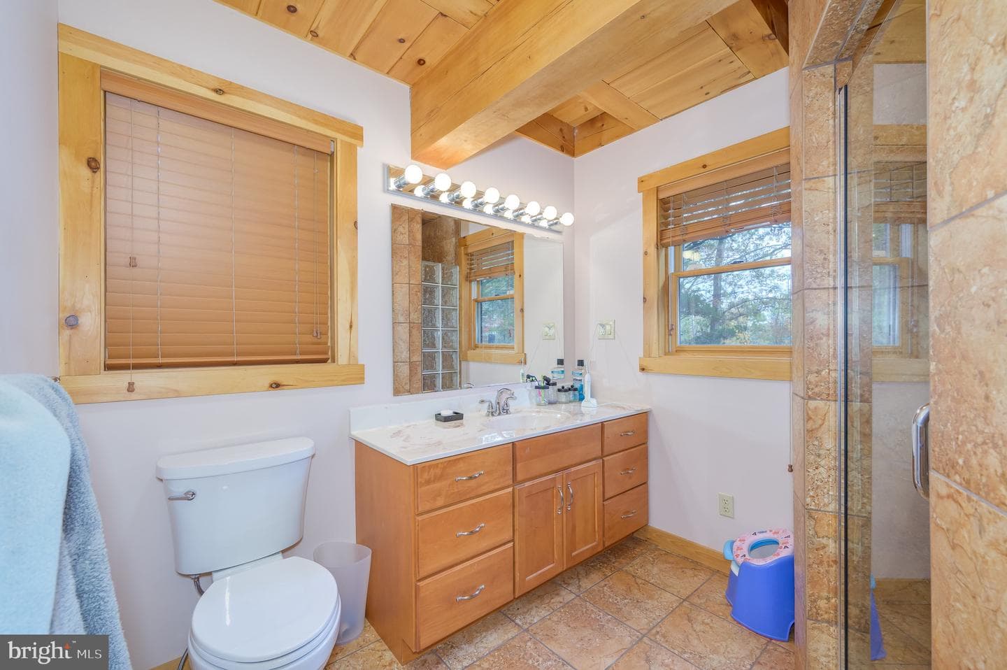 456 Parkside Terrace photo 59