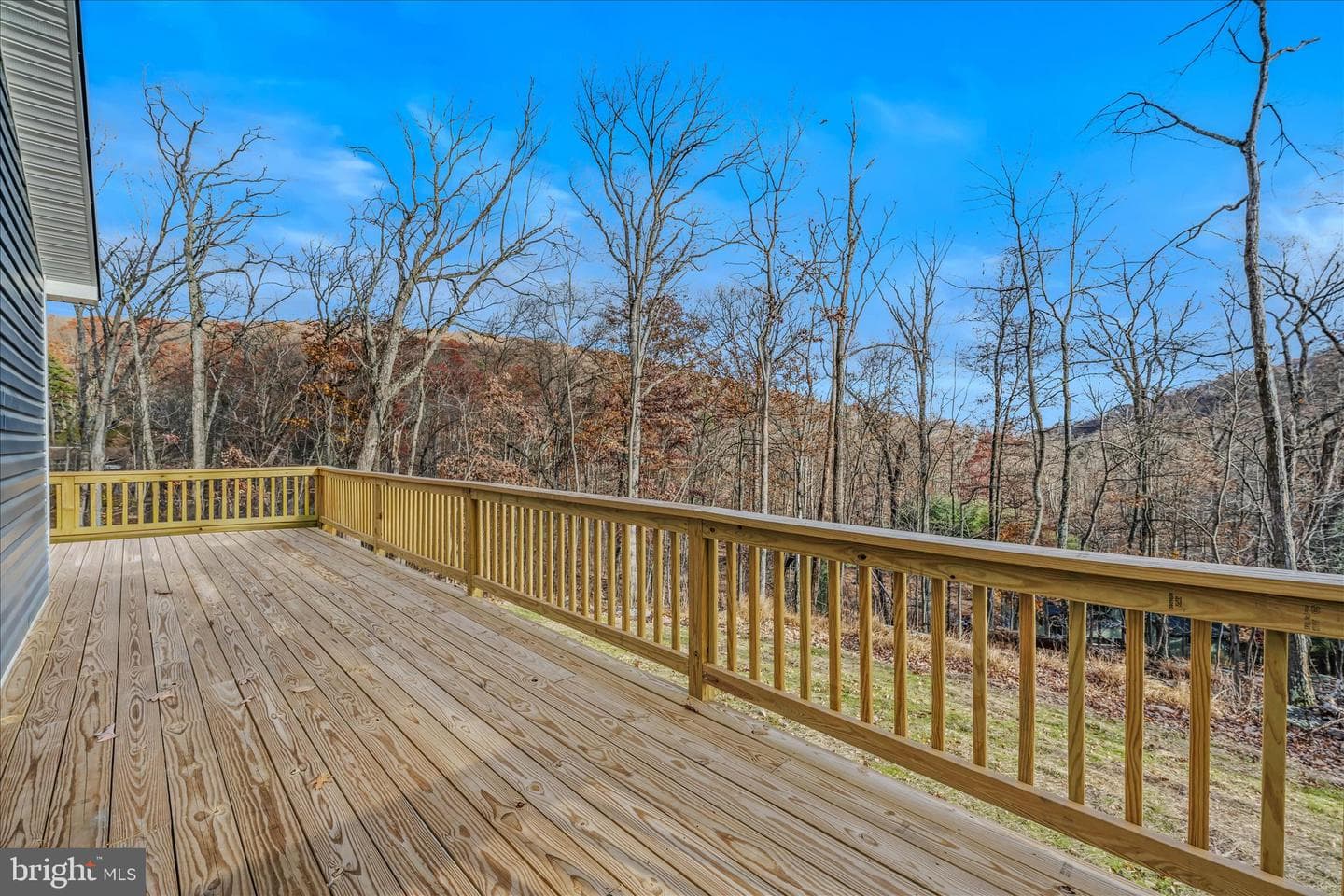 219 Maverick Trail photo 11