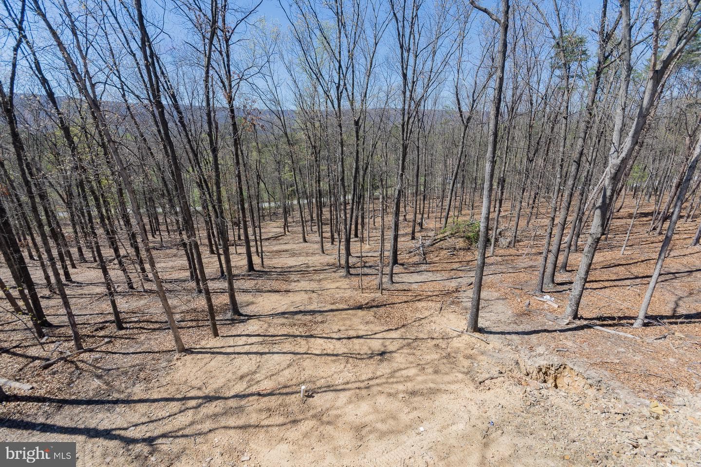 4352 Timber Ridge Road photo 13