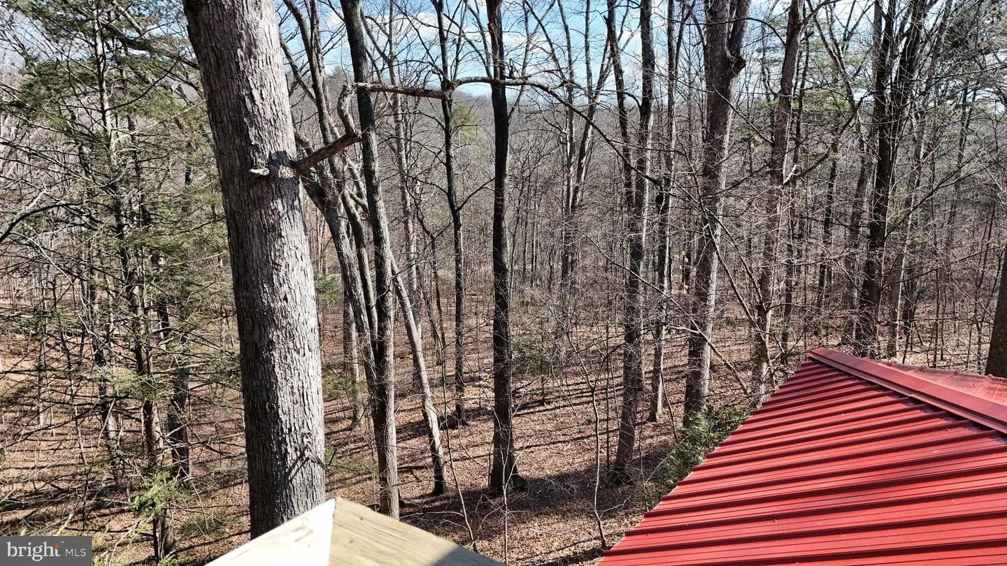 300 Wispy Branch Lane photo 44