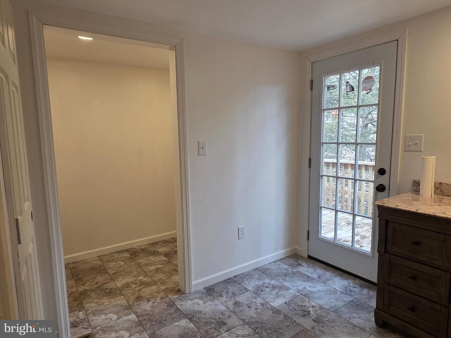300 Wispy Branch Lane photo 49