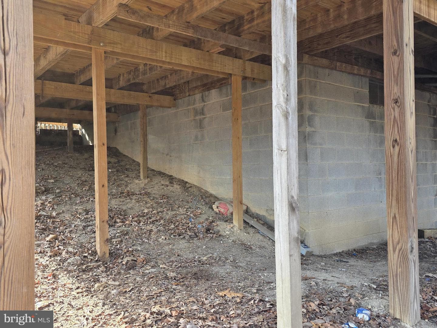 300 Wispy Branch Lane photo 63