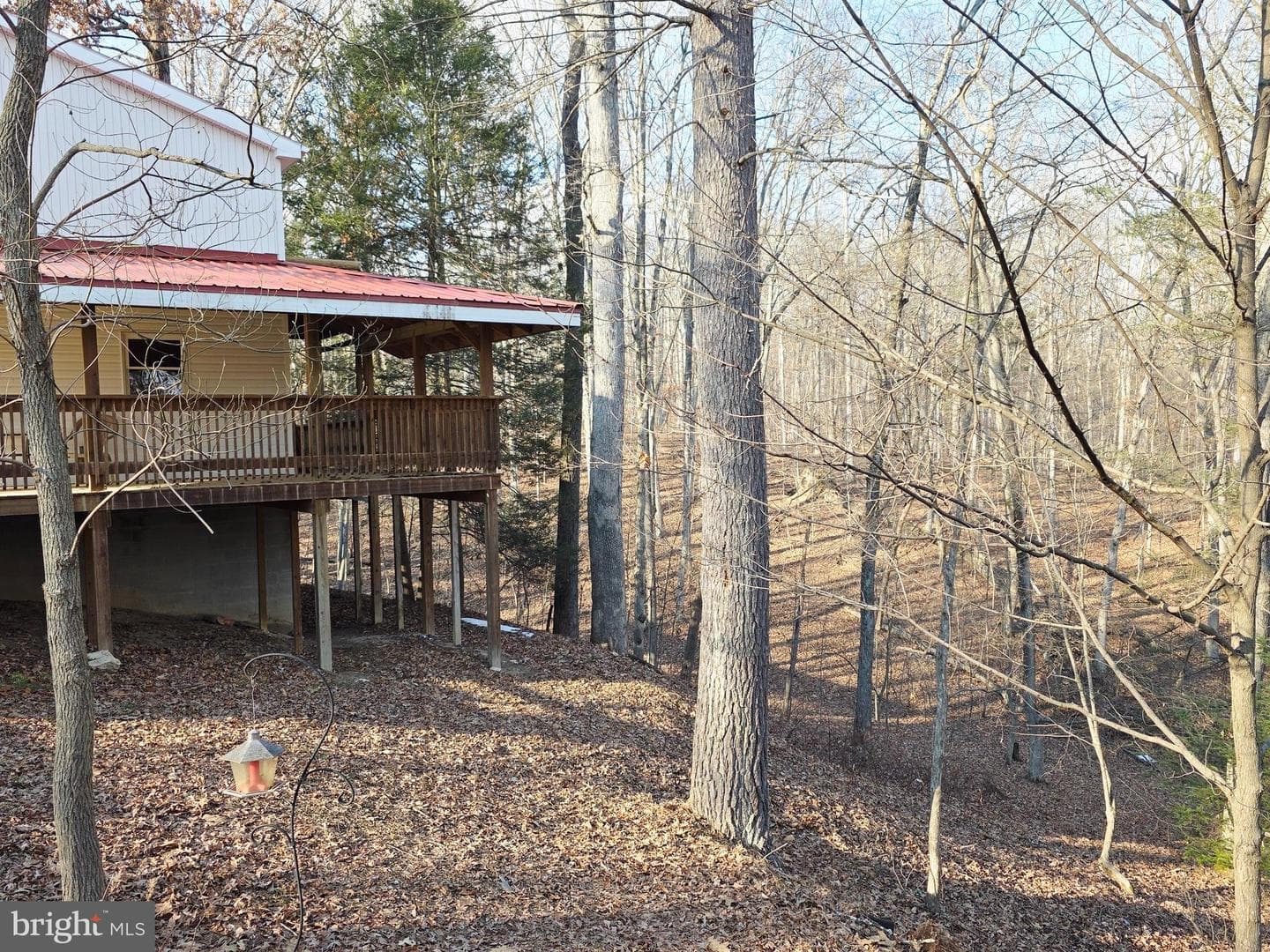 300 Wispy Branch Lane photo 9
