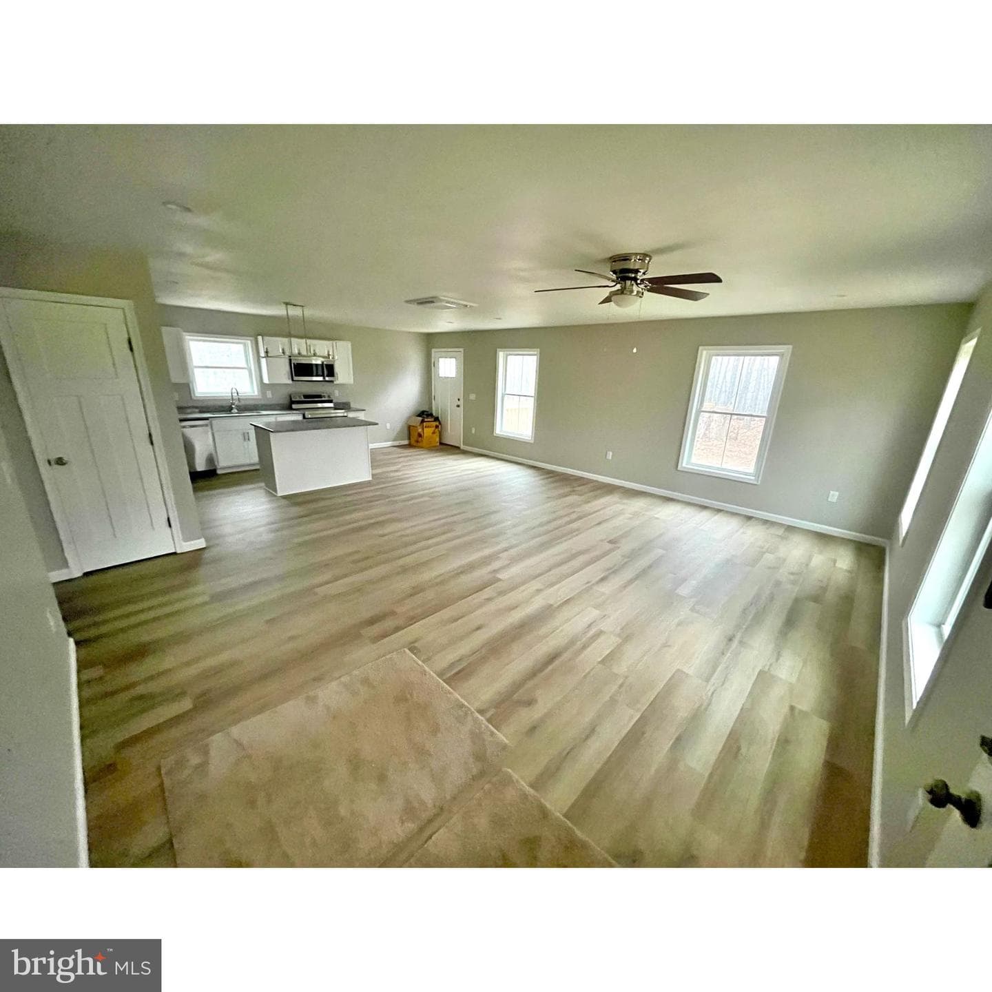 233 Young Lane photo 4
