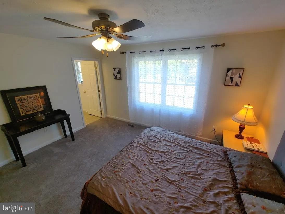 73 Snake Eyes Lane photo 11