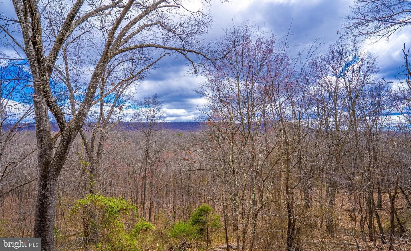 295 Greenwoods Drive photo 14