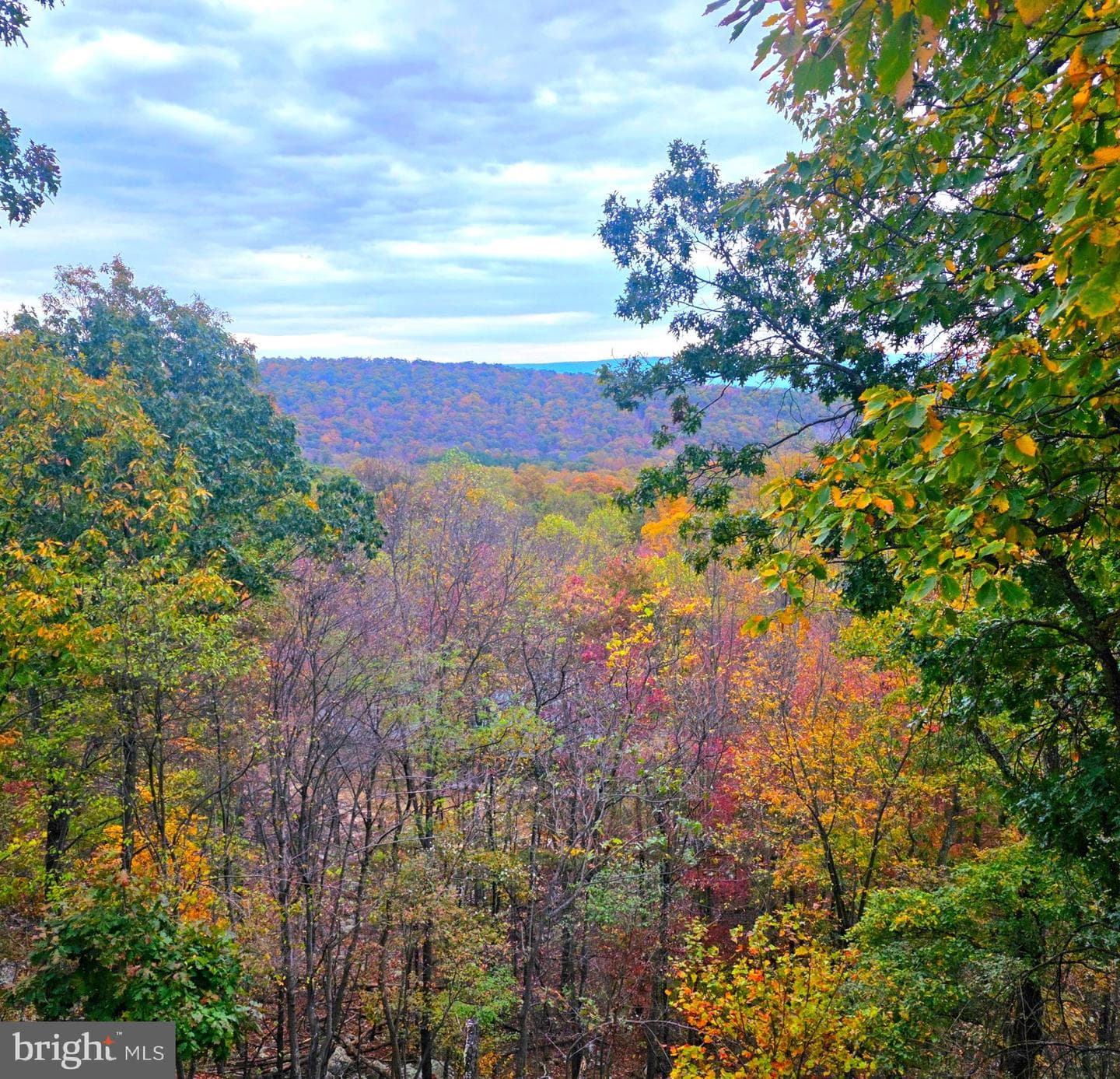 1052 Parkside Drive photo 42