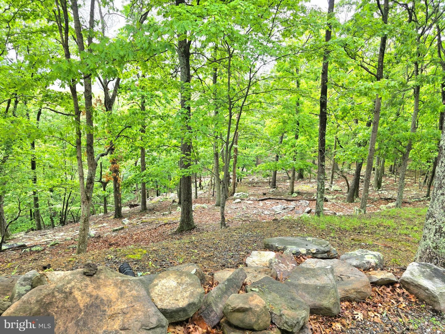 1052 Parkside Drive photo 50