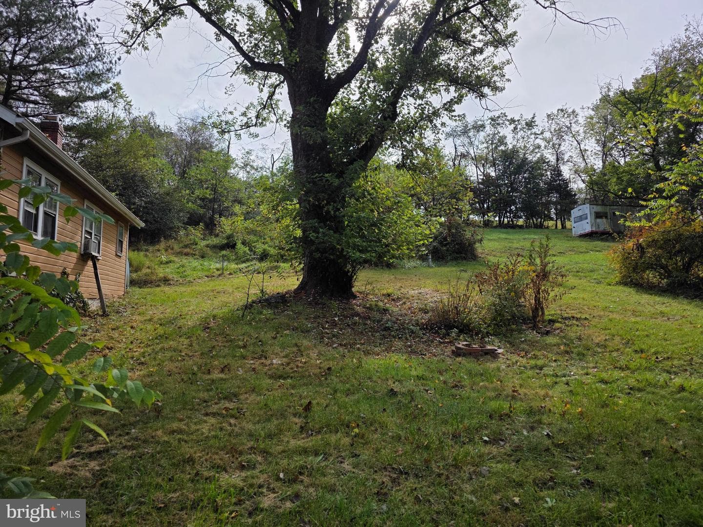 45 Pansy Lane photo 34