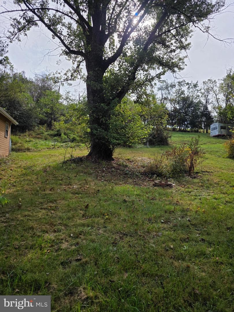 45 Pansy Lane photo 35