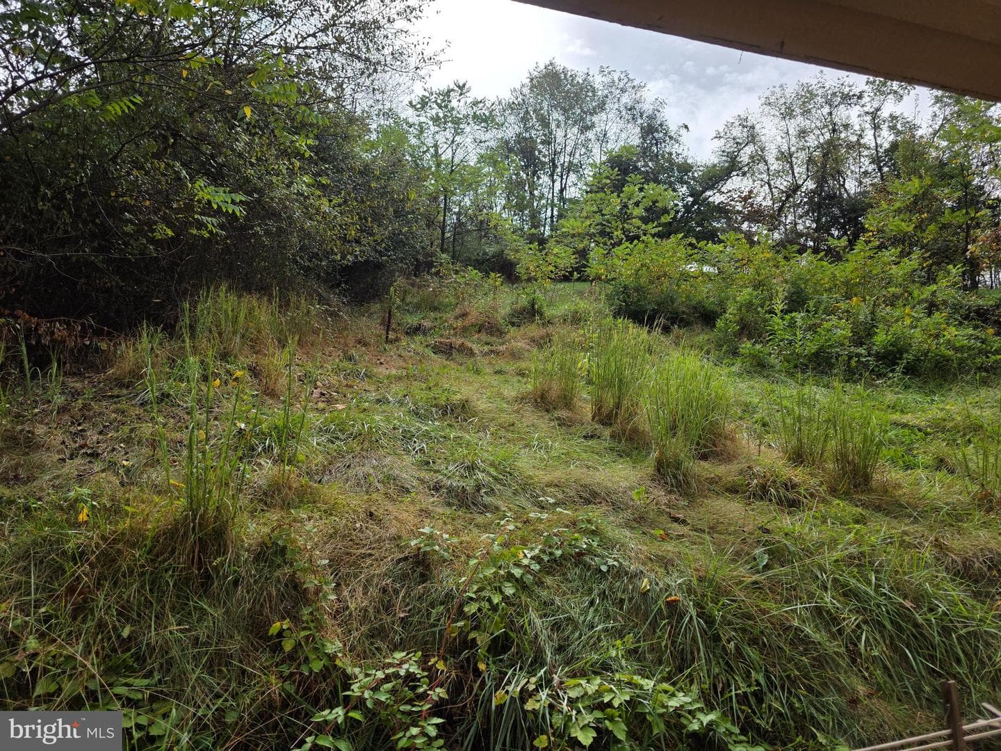 45 Pansy Lane photo 36