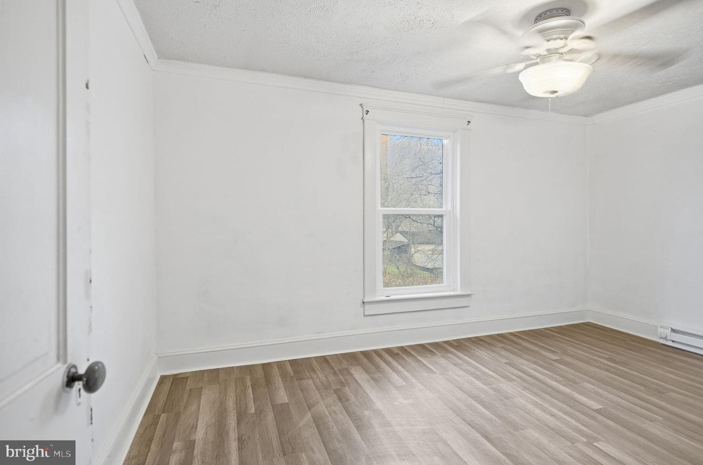 40 Mable Lane photo 15