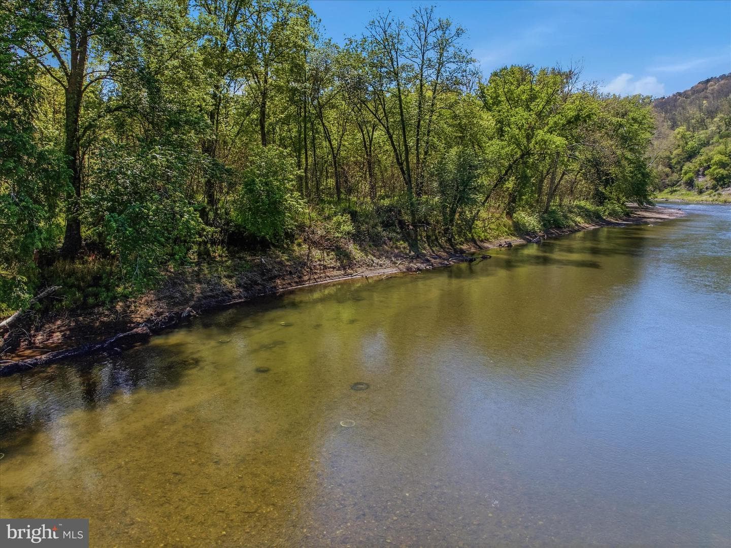 1628 Vista River Road photo 2