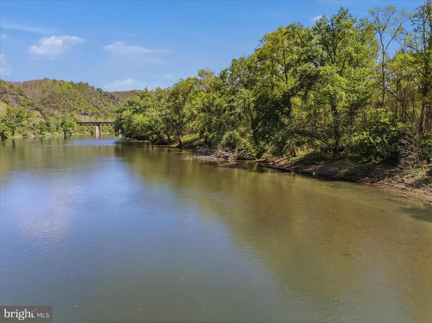 1628 Vista River Road photo 4