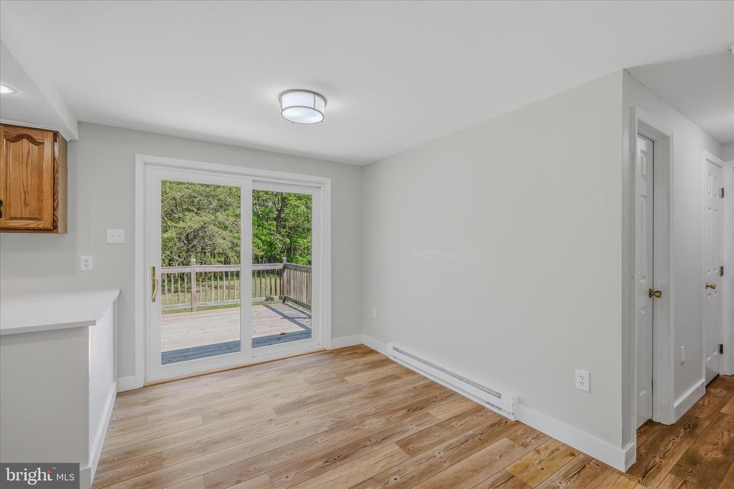 254 Old Mill Manor Drive photo 5