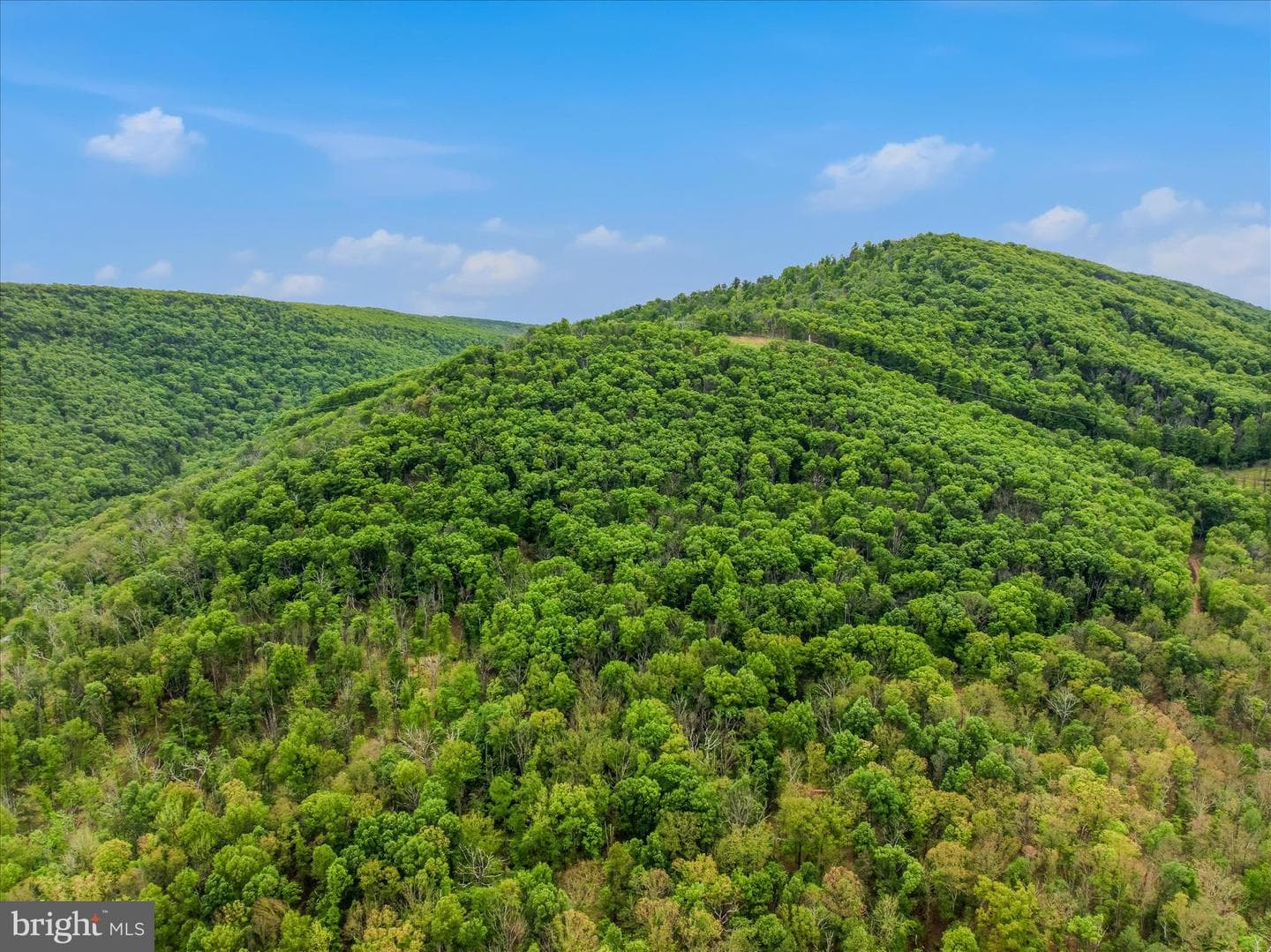 98 Ore Trail photo 44