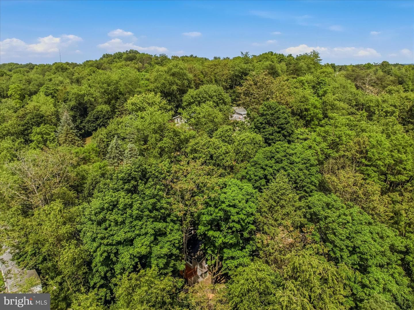 64 Hobday Lane photo 38