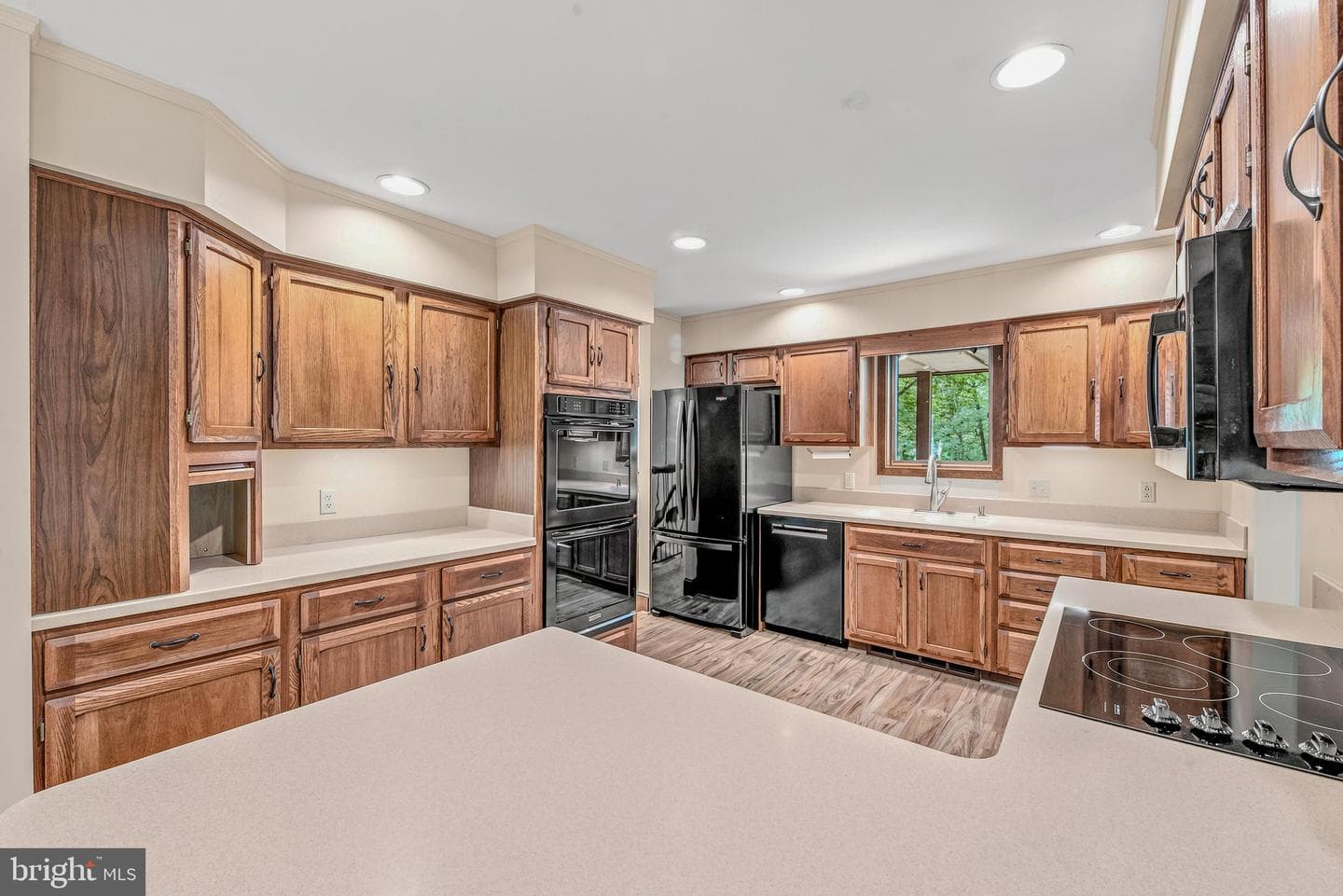 355 Sandstone Lane photo 13
