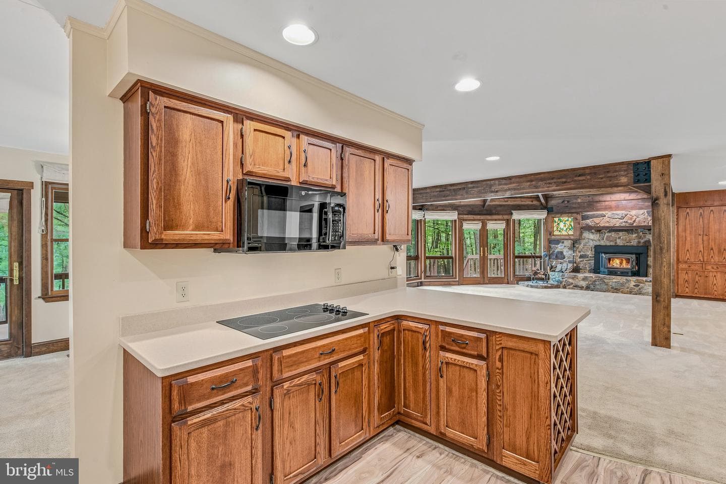 355 Sandstone Lane photo 18